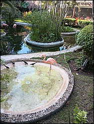 IMG_20230727_080047337.jpg