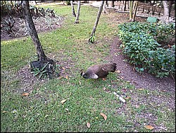 IMG_20230727_080137513.jpg