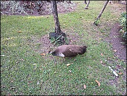 IMG_20230727_080141078.jpg