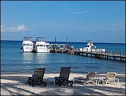 IMG_20230727_082502033.jpg