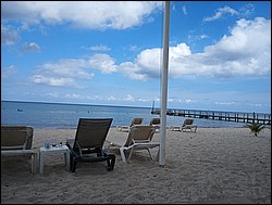 IMG_20230727_093042654.jpg