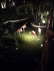 IMG_20230727_200141408.jpg