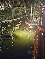 IMG_20230727_200146375.jpg