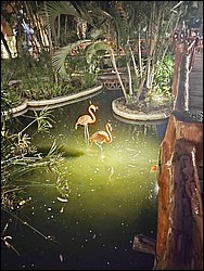 IMG_20230727_200204040.jpg