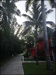 IMG_20230728_071021530.jpg