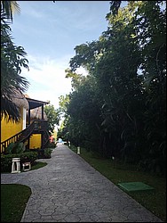 IMG_20230728_071027213.jpg