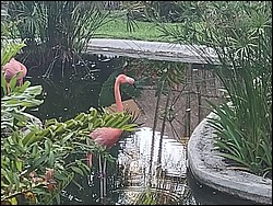 IMG_20230728_071526195.jpg