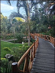 IMG_20230728_071626303_HDR.jpg