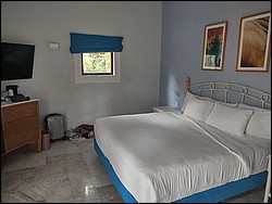 IMG_20230728_105521844_HDR.jpg