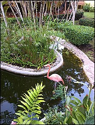 IMG_20230729_070412353.jpg