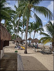 IMG_20230729_093327045_HDR.jpg