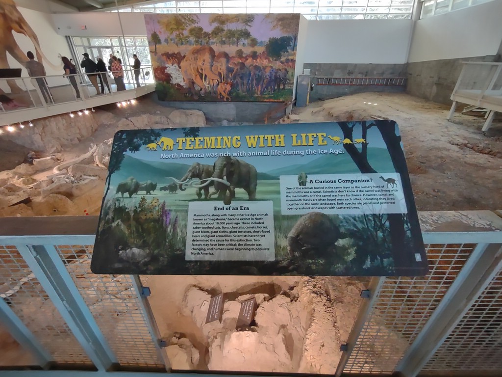 IMG_20240214_115003148.jpg
