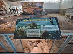 IMG_20240214_115003148.jpg