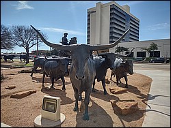 IMG_20240214_121122449_HDR.jpg