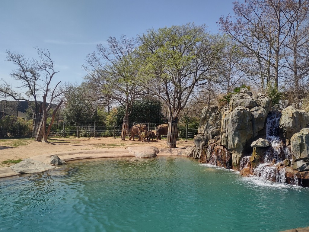 IMG_20240306_131733005_HDR.jpg