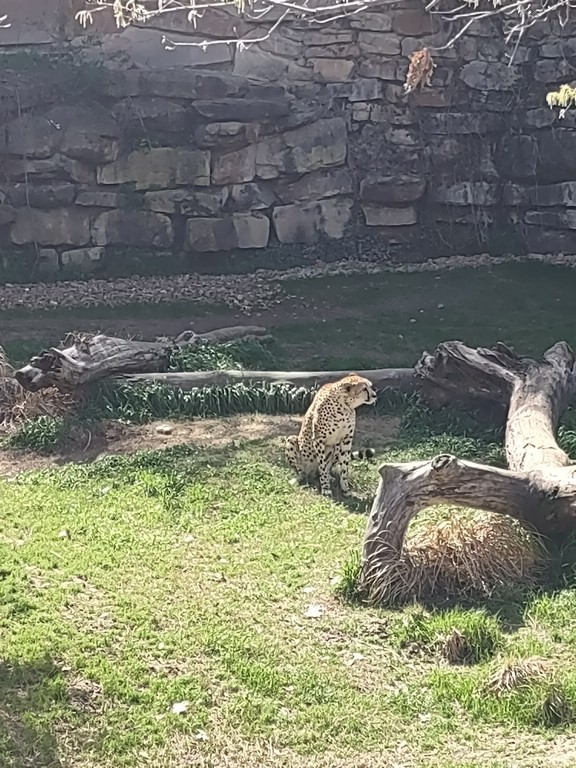 IMG_20240306_133826751.jpg