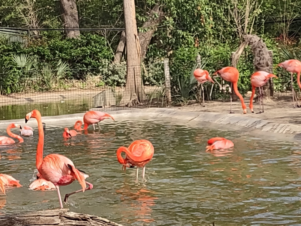 IMG_20240306_153750689.jpg