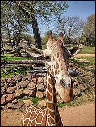 IMG_20240306_125637347_HDR.jpg
