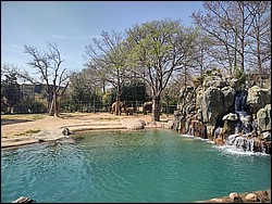 IMG_20240306_131730902_HDR.jpg