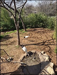 IMG_20240306_132637139_HDR.jpg