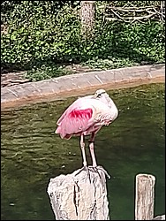 IMG_20240306_142814038.jpg