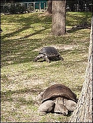IMG_20240306_145940411.jpg