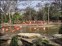 IMG_20240306_153745563_HDR.jpg