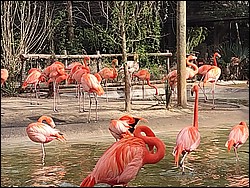 IMG_20240306_153757795.jpg