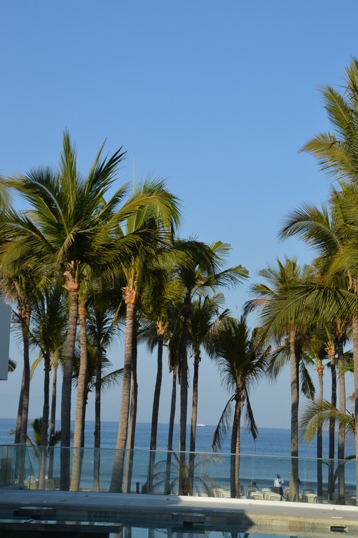 DSC_0016.JPG