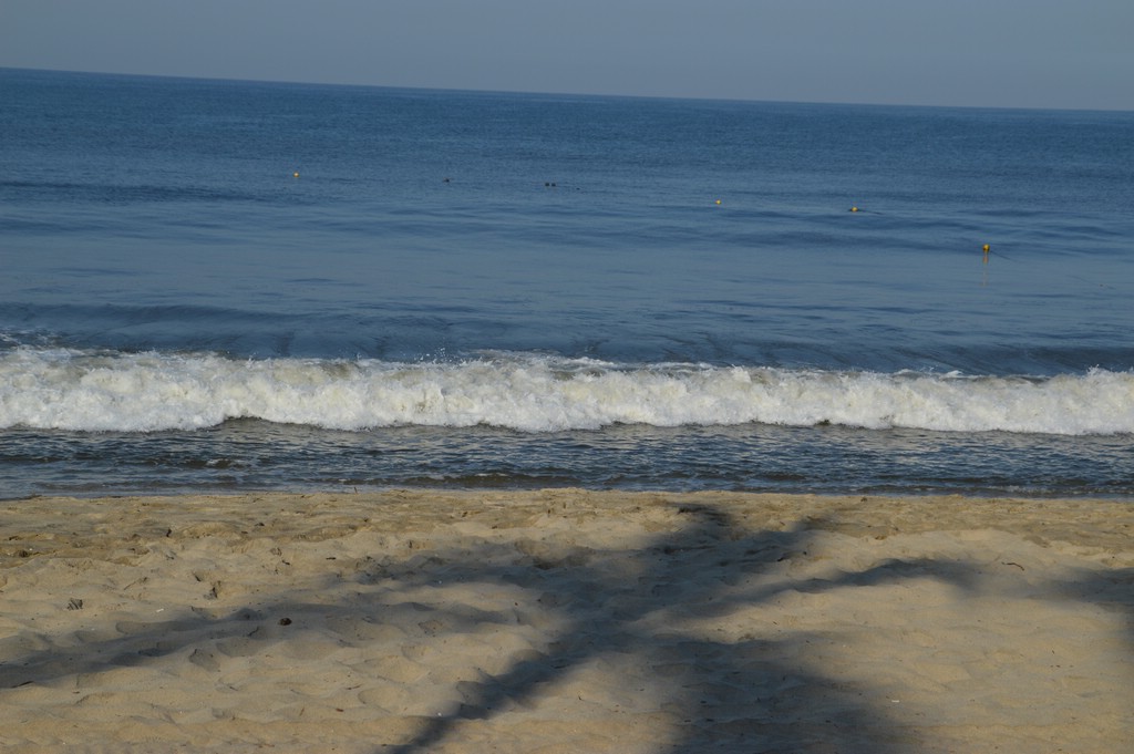 DSC_0024.JPG