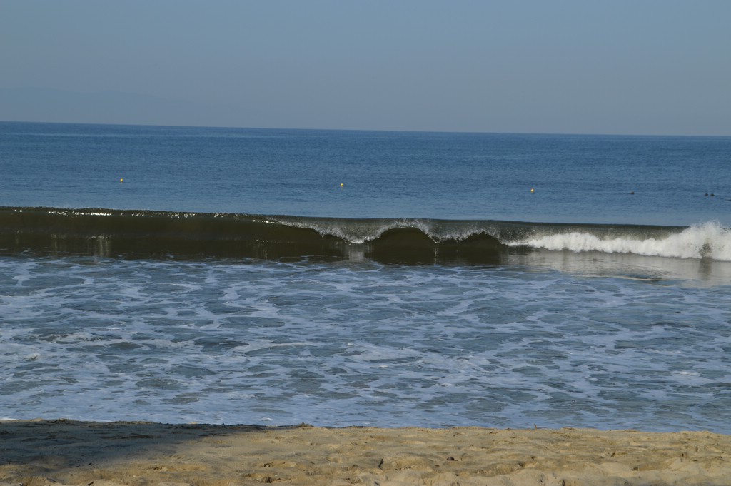 DSC_0026.JPG
