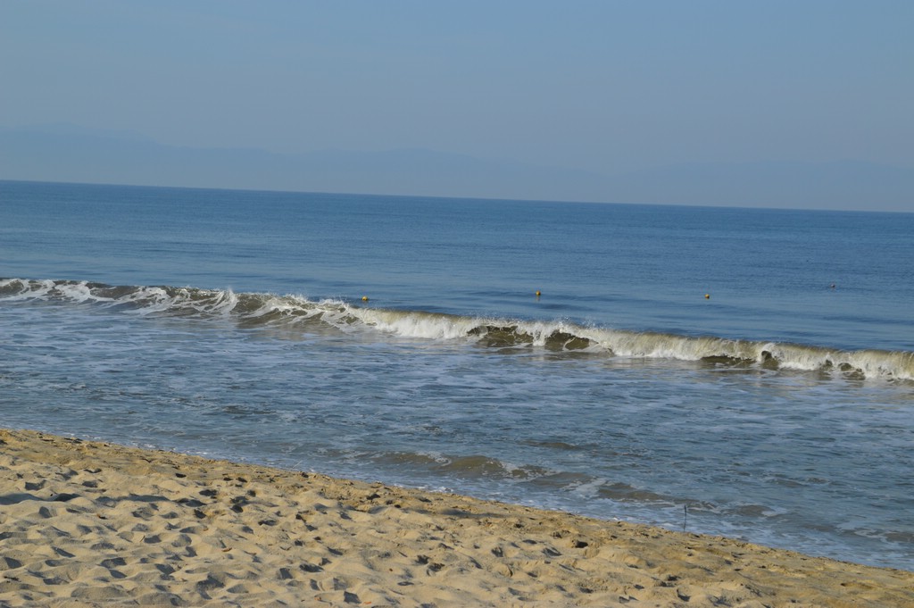 DSC_0028.JPG