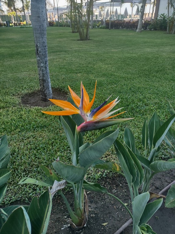 IMG_20240521_081458575_HDR.jpg