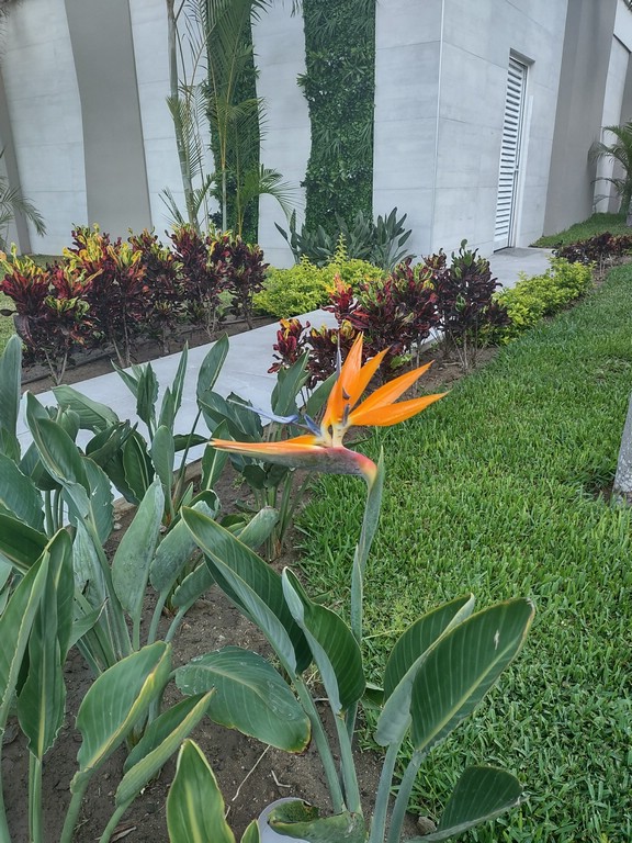 IMG_20240521_081516490_HDR.jpg