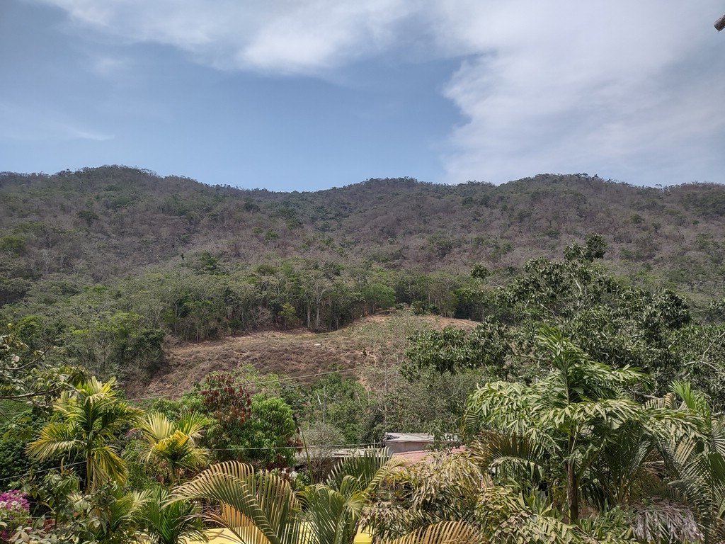 IMG_20240522_142856979_HDR.jpg