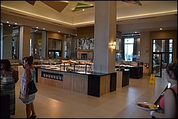 DSC_0004.JPG
