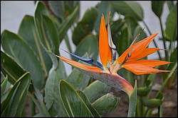 DSC_0008.JPG