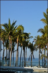 DSC_0016.JPG