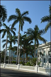 DSC_0044.JPG