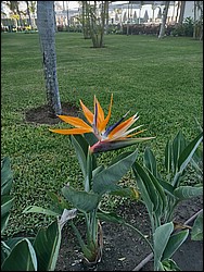 IMG_20240521_081458575_HDR.jpg