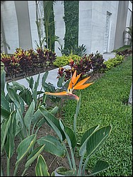 IMG_20240521_081516490_HDR.jpg