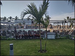 IMG_20240521_081552021_HDR.jpg