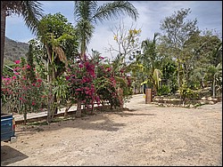 IMG_20240522_142431521_HDR.jpg
