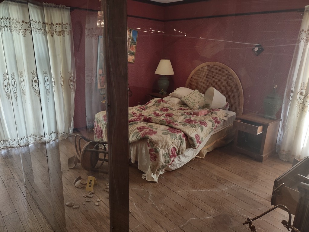 IMG_20250318_114749304_HDR.jpg