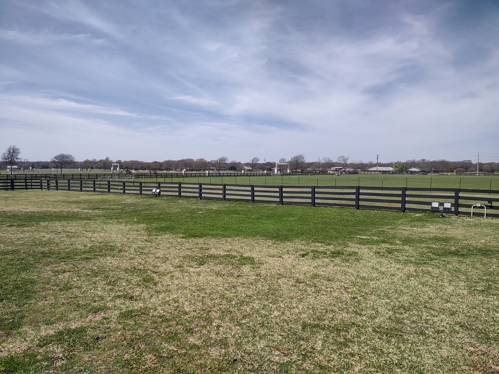 IMG_20250318_115234609_HDR.jpg