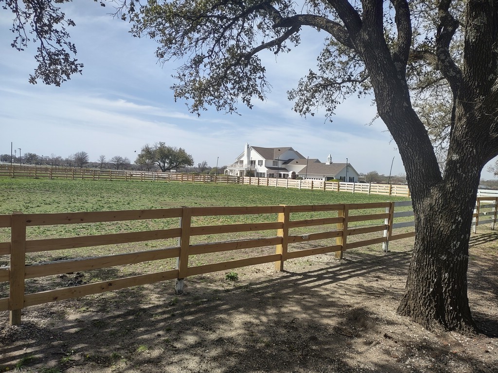 IMG_20250318_115541293_HDR.jpg