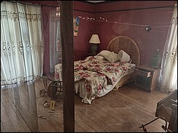 IMG_20250318_114749304_HDR.jpg