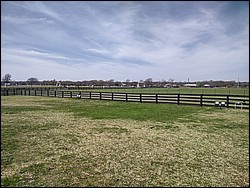 IMG_20250318_115234609_HDR.jpg