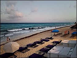 IMG_20250515_194159742.jpg