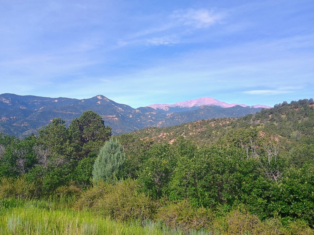 IMG_20250722_085312410_HDR_AE.jpg